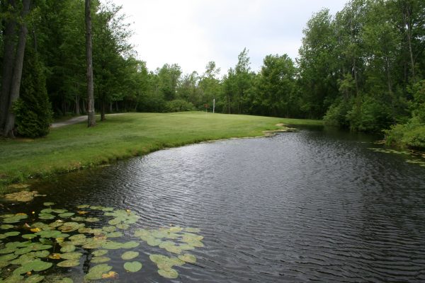 Pines of Georgina Golf Rates